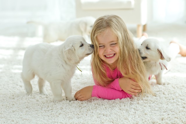 Child Playing with Puppies - Contact Us in Spanish Fort AL